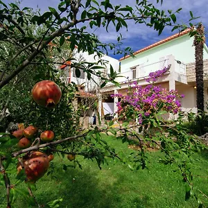  Apartament Maslina